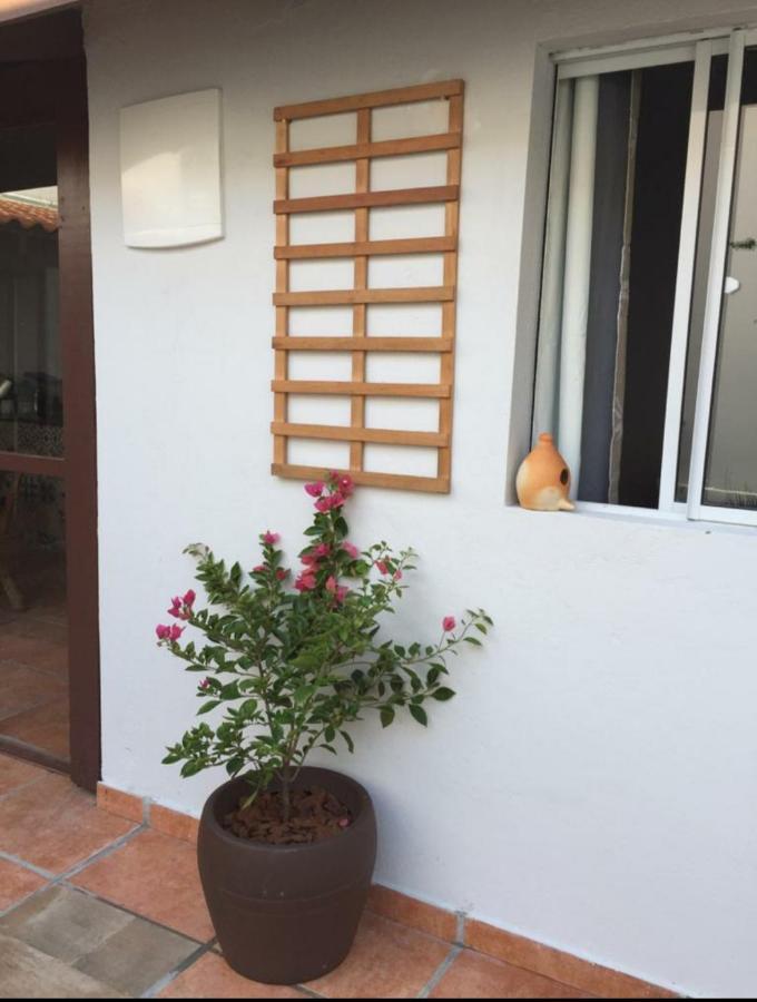 Praia Brava Guest House Suites Itajaí Exterior photo